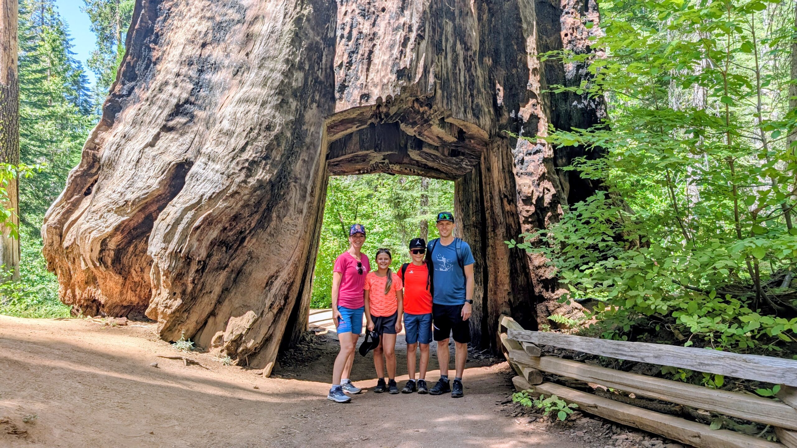 Geschützt: Tag 17: Yosemite Nationalpark Tag 1